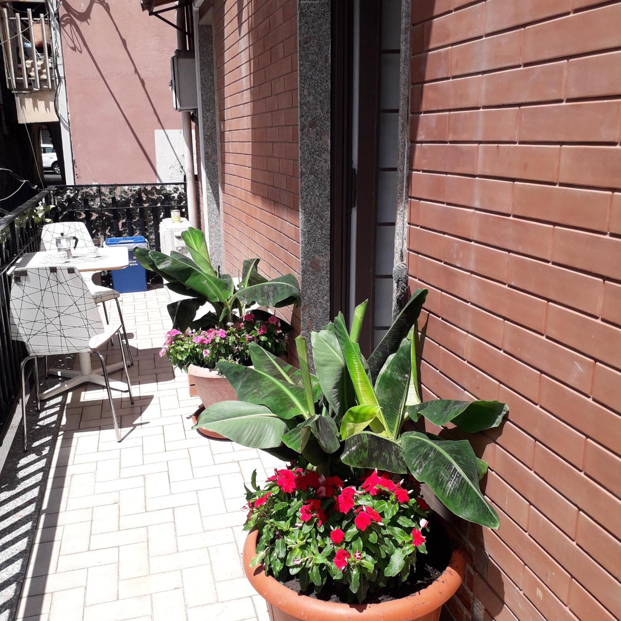 Le Case Del Cortile คาตาเนีย ภายนอก รูปภาพ