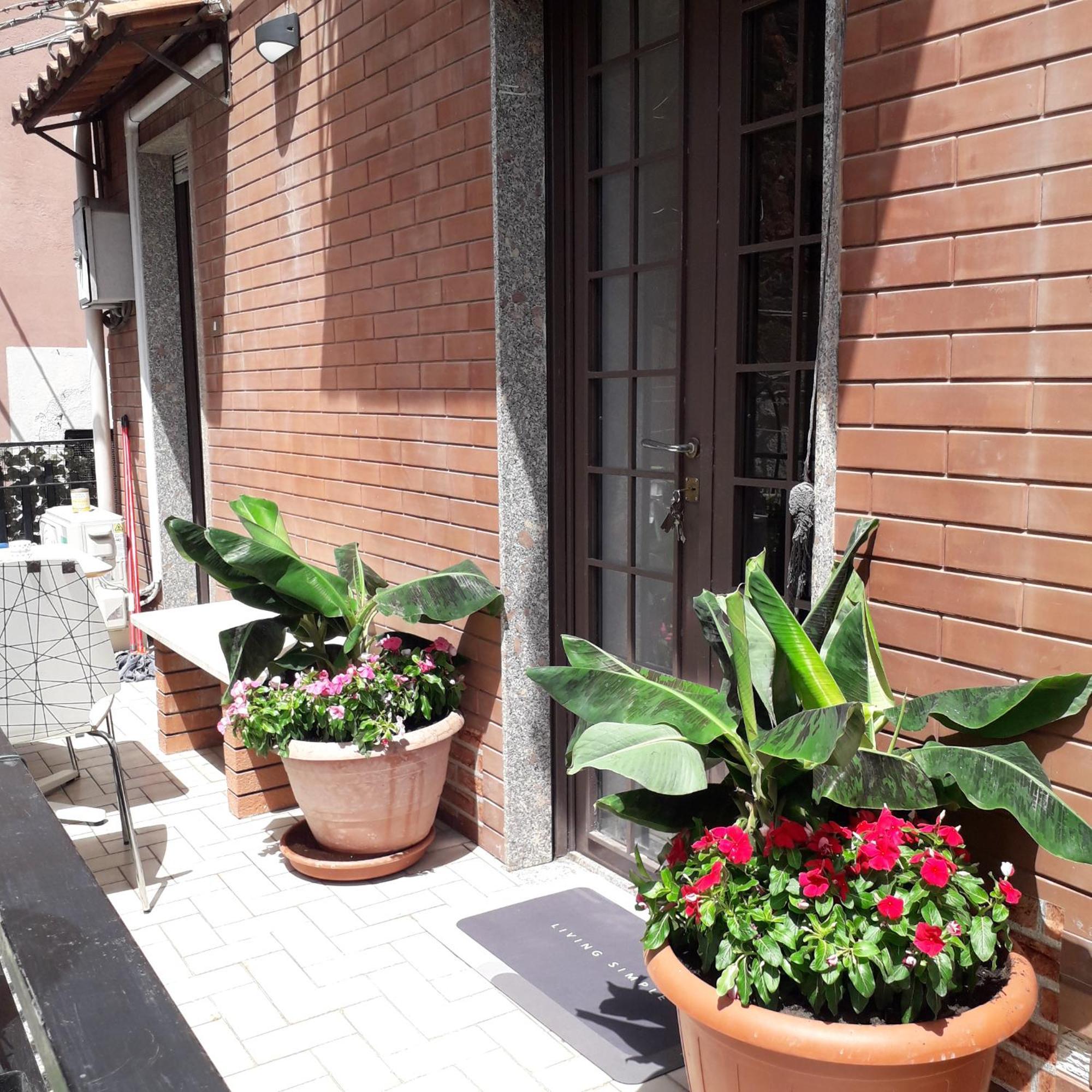 Le Case Del Cortile คาตาเนีย ภายนอก รูปภาพ