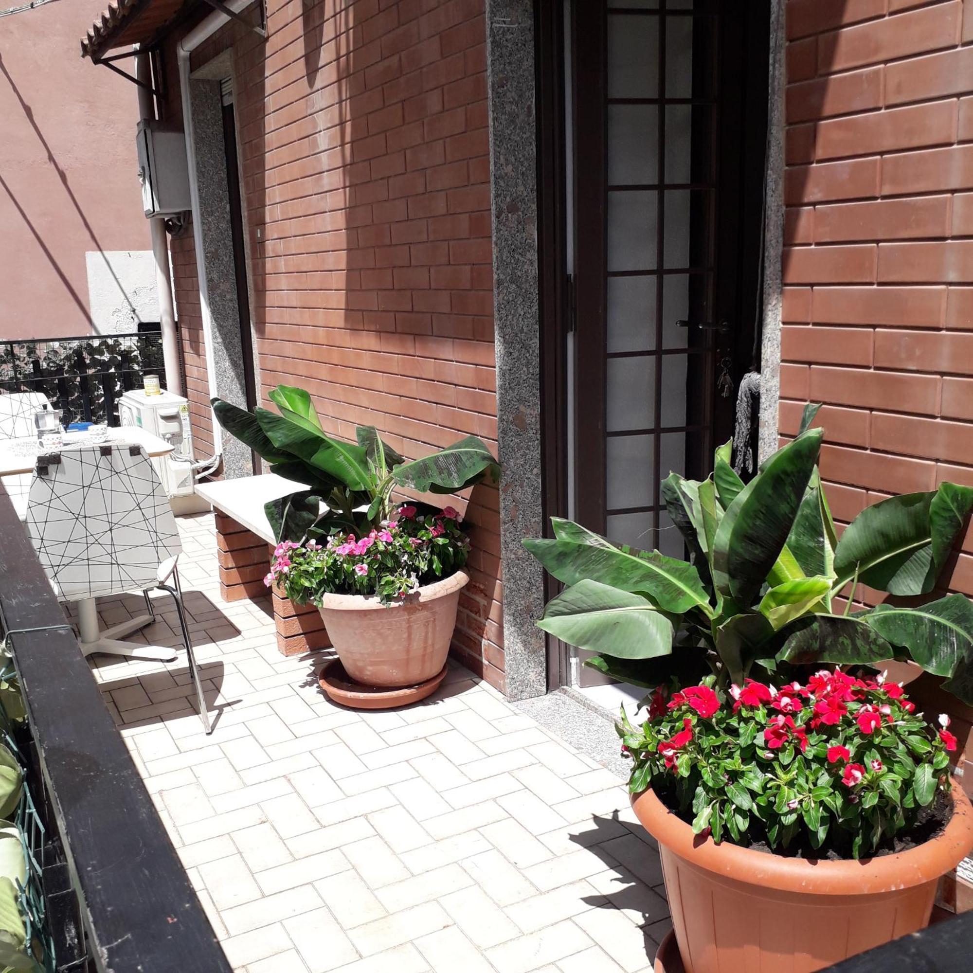 Le Case Del Cortile คาตาเนีย ภายนอก รูปภาพ