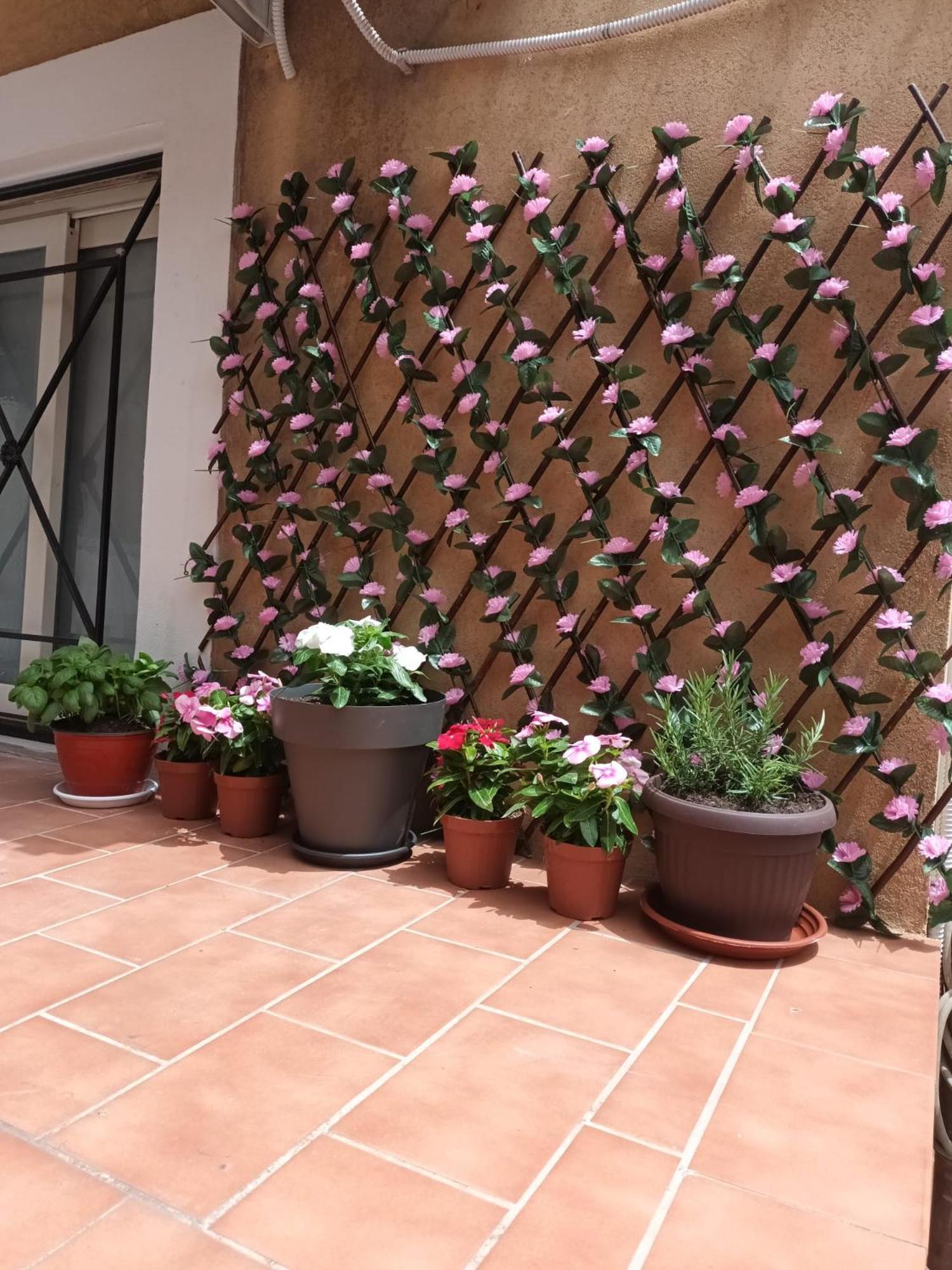 Le Case Del Cortile คาตาเนีย ภายนอก รูปภาพ